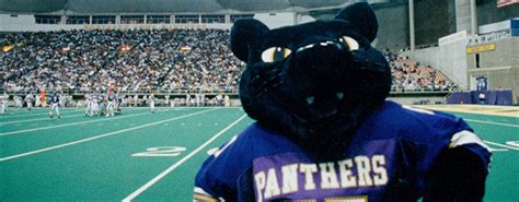 Uni panther mascot
